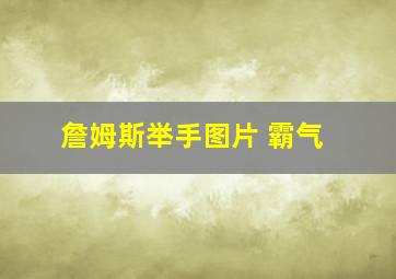 詹姆斯举手图片 霸气